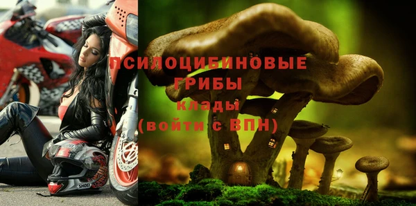 таблы Белокуриха