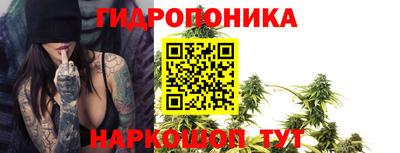 PSILOCYBIN Изобильный