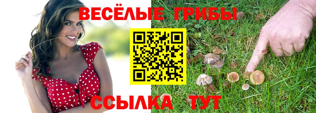 Великий Устюг  Псилоцибиновые грибы мицелий  Вход с VPN  Псилоцибиновые грибы мухоморы 